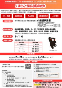 くまもと型応援補助金_page-0001